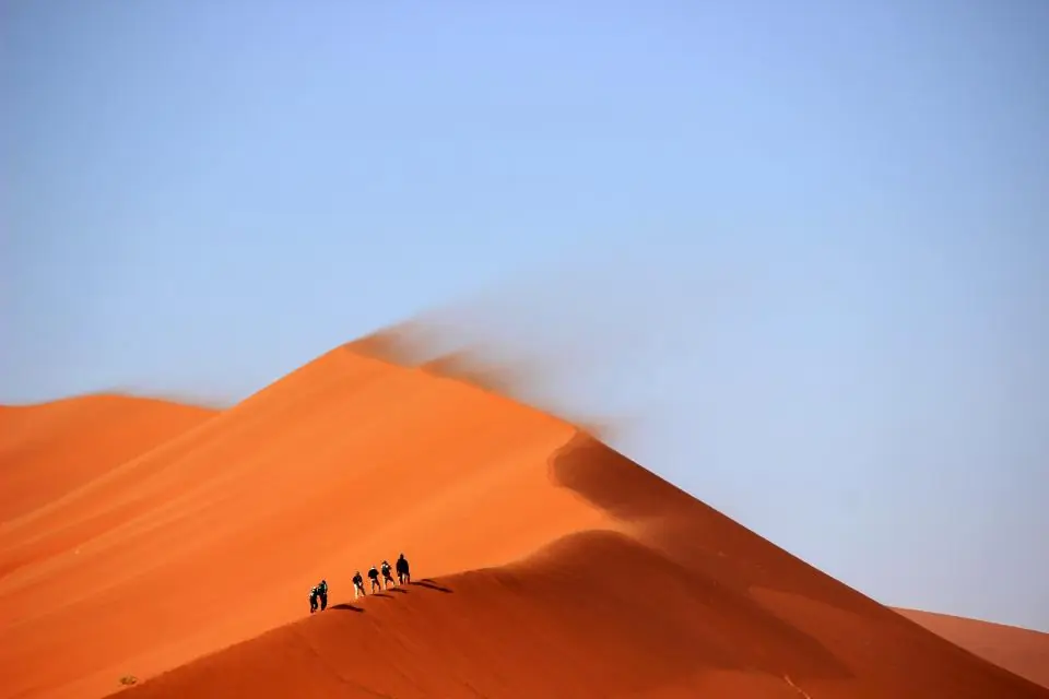 یک شب زیر آسمان مصر و فرحزاد